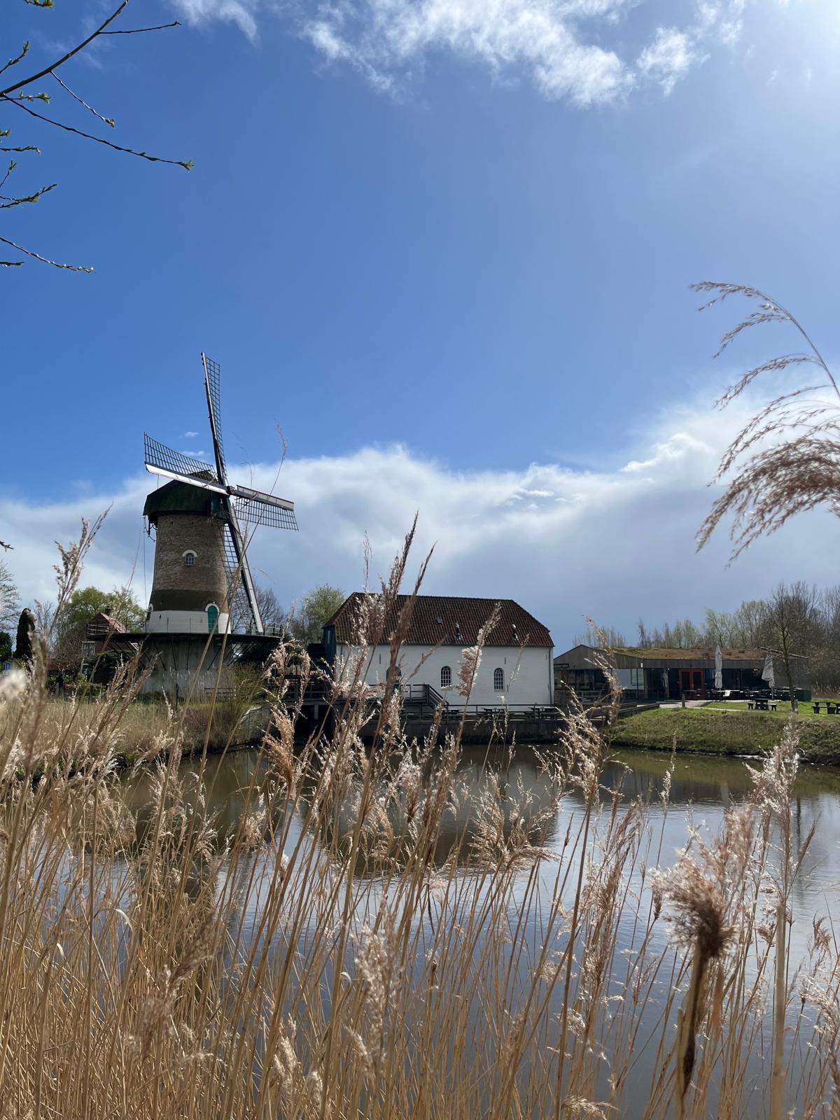 ICC basiscursus 2026 