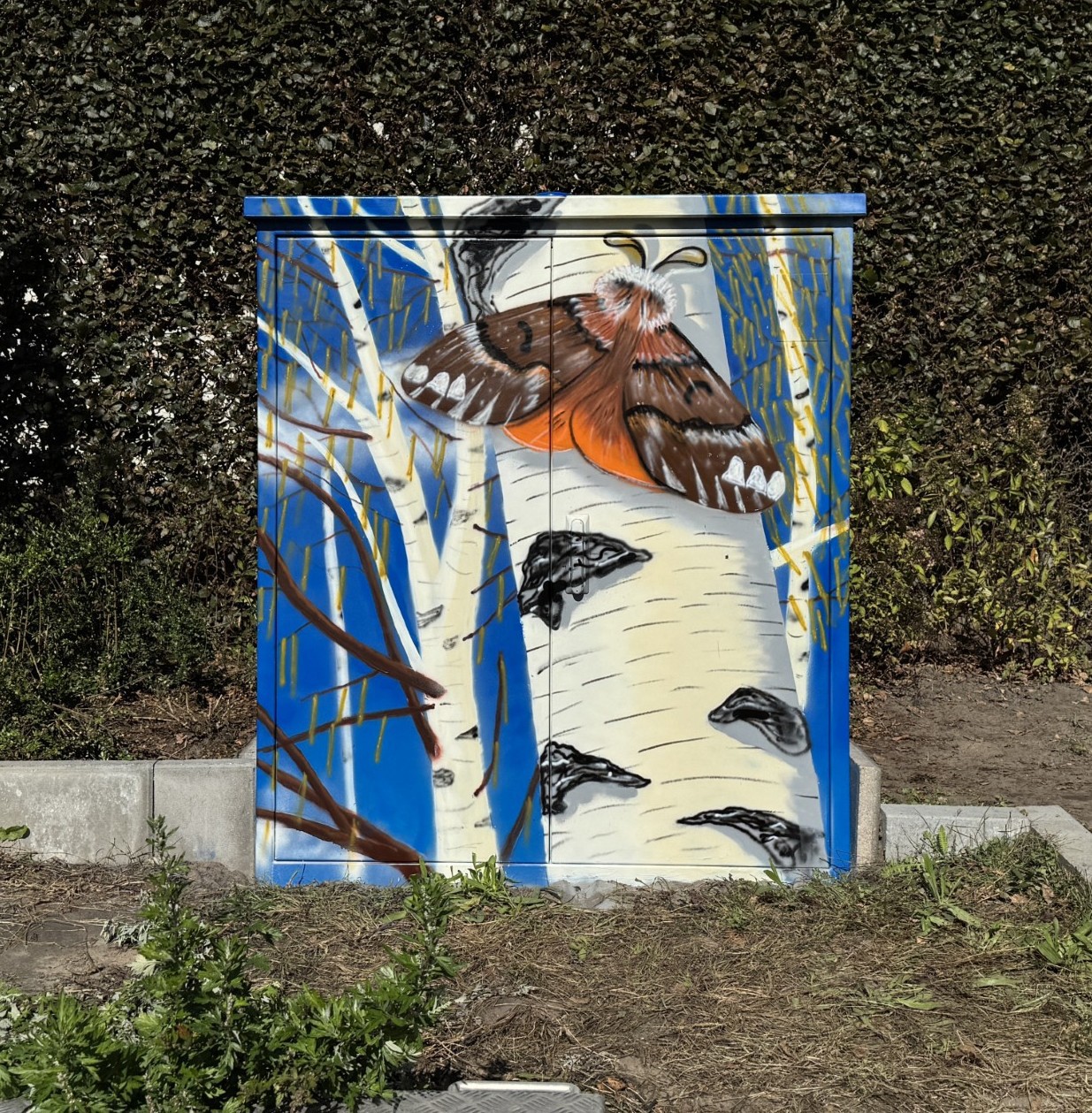 Tra-Art Helvoirt - Joep van Gassel