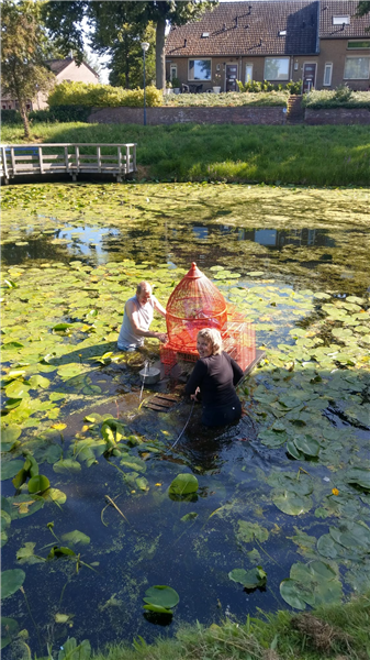 Schatten van Zonneheuvel