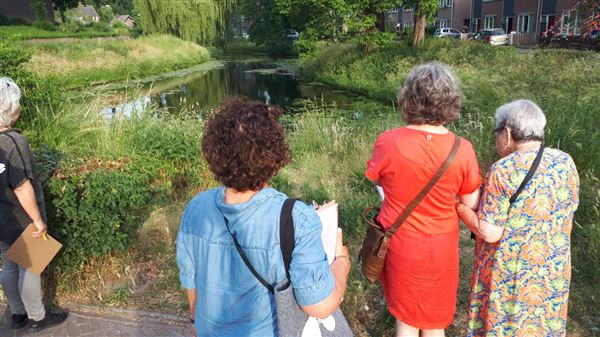 Schatten van Zonneheuvel, wijkwandeling