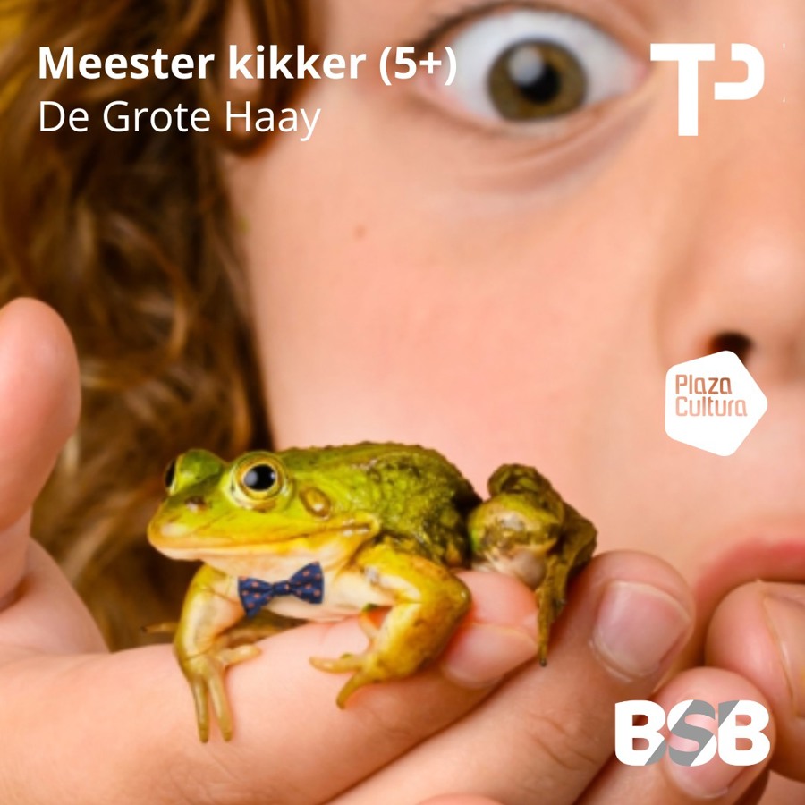 Meester Kikker de Grote Haay