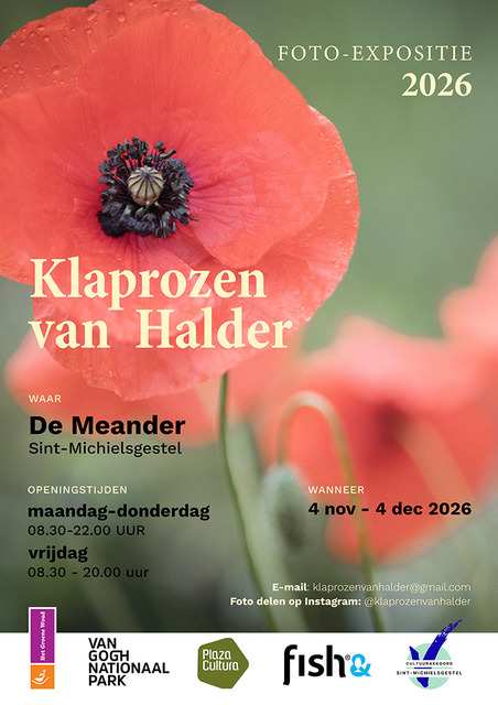 Plaza Cultura Sint-Michielsgestel klaprozen Halder foto Vera Claessen