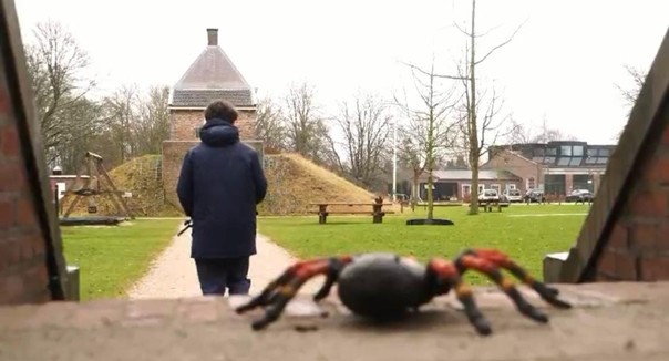 Videografie