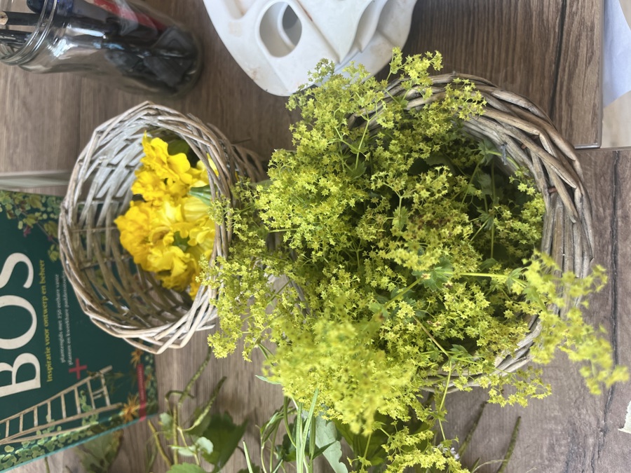 kinderkunst cromvoirt